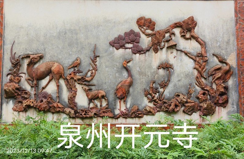微信图片_20231214111915