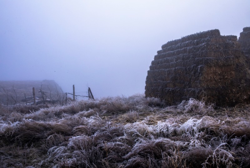 6D9A5463 秸秆堆 2023年沙湾