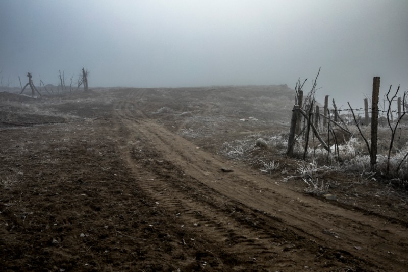 6D9A5464雾中的小路 2023年 沙湾
