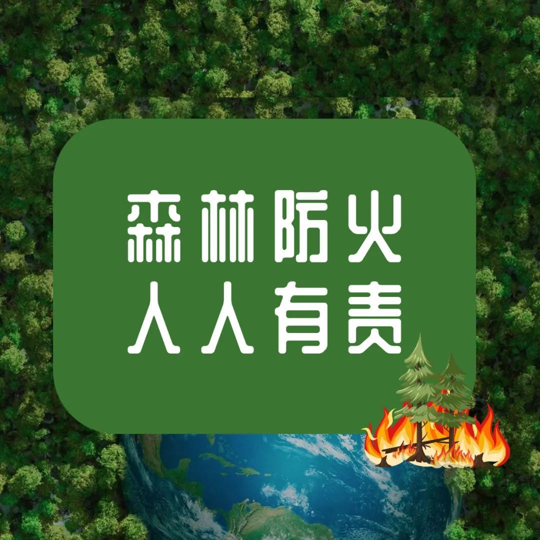 森林防火照片 五年级图片