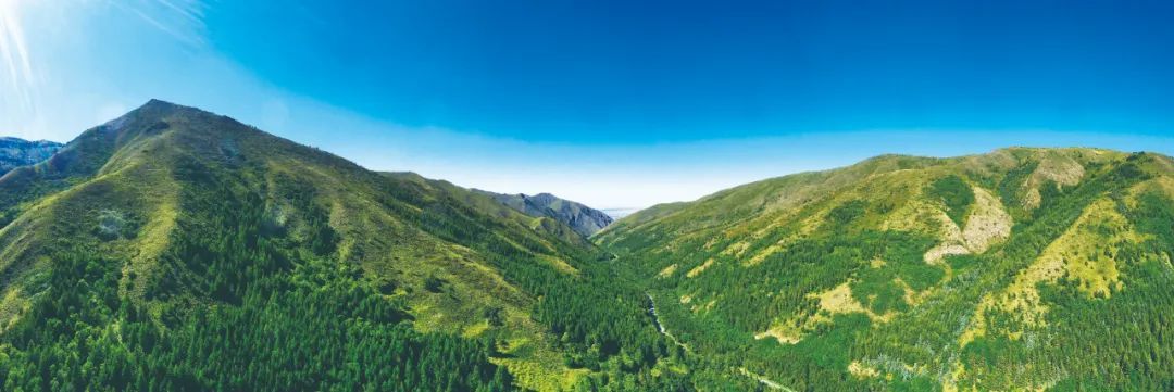 寧夏畫報青山綠水南華山