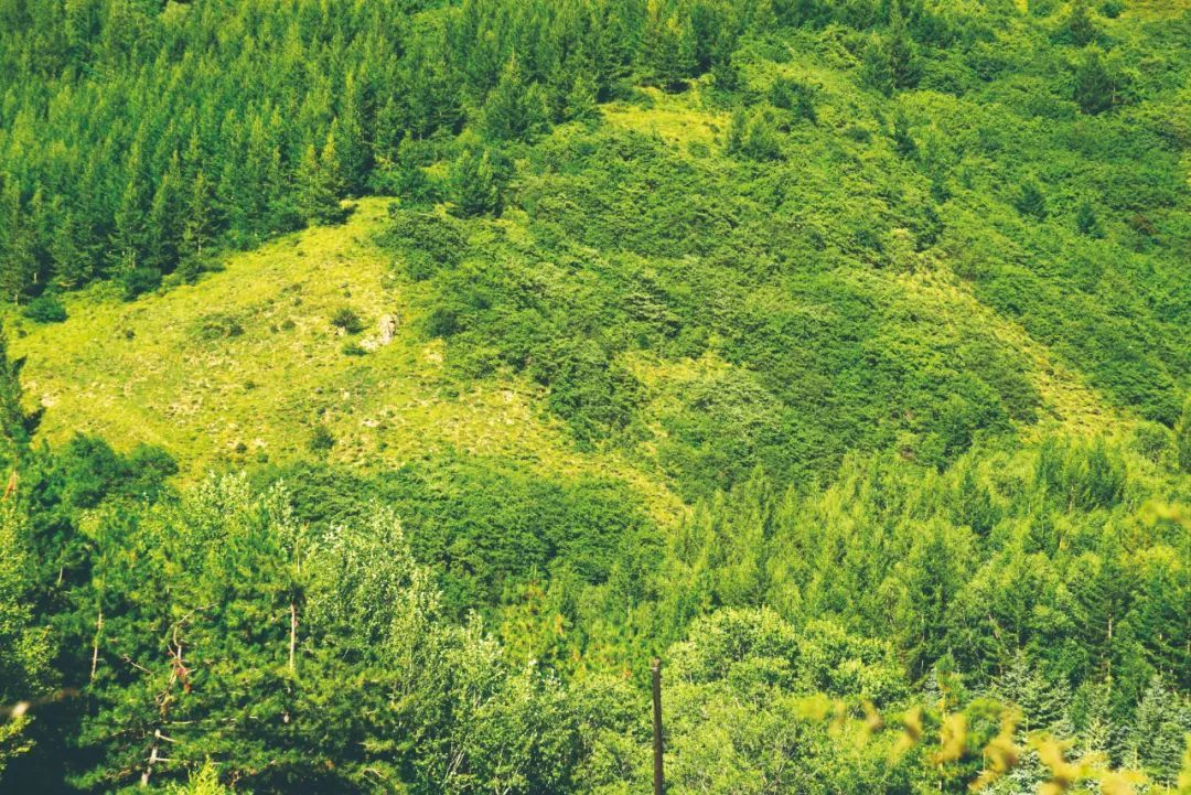 寧夏畫報青山綠水南華山