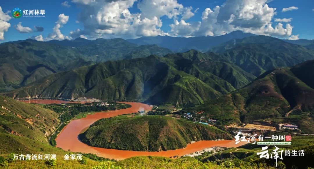 當前位置:關注森林>地方林草動態>雲南>正文 紅河有一種叫雲南的生活