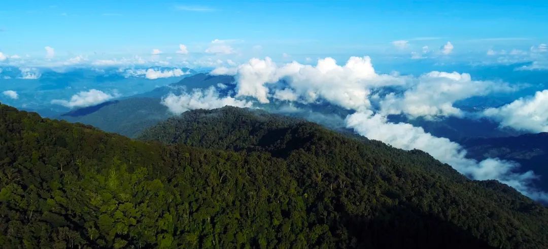 红河红河大围山图片