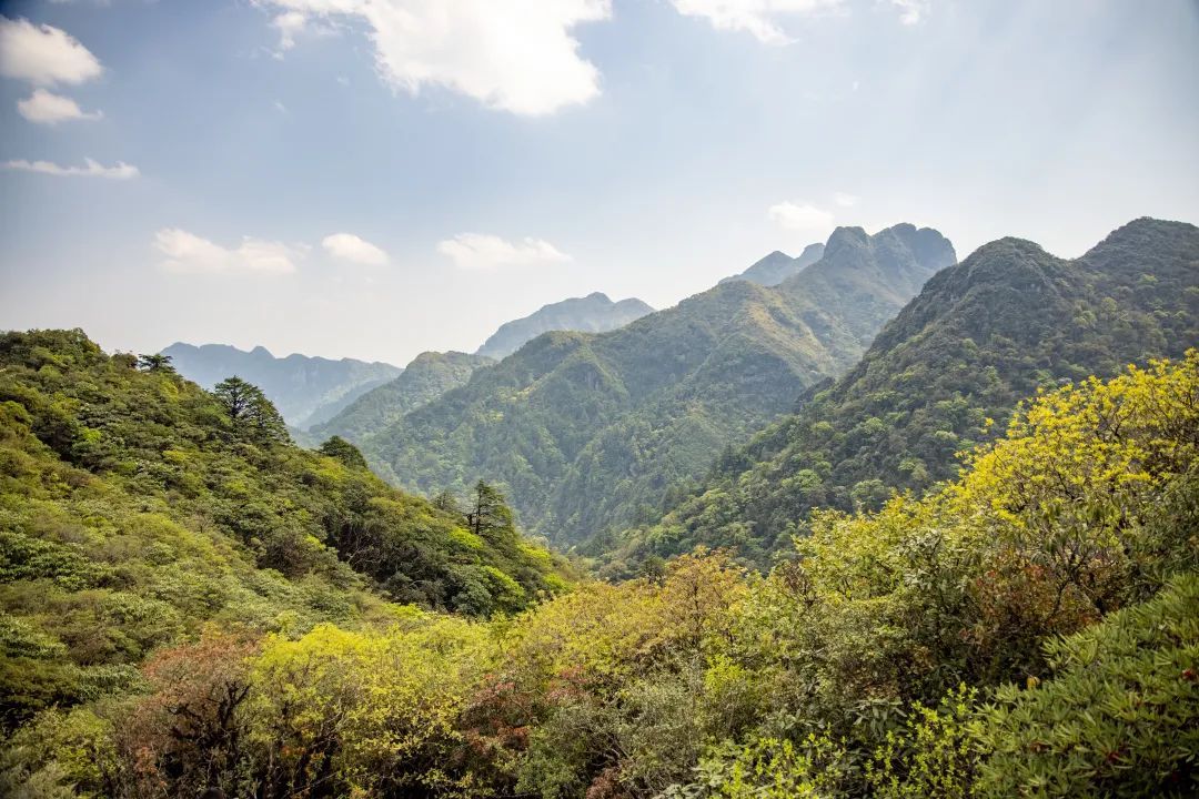 新平哀牢山风景区图片