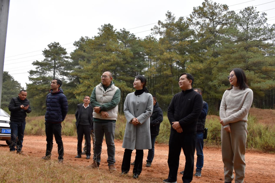 雲南農業大學葉辰博士,西南林業大學黎建強副教授,昆明市海口林場金智