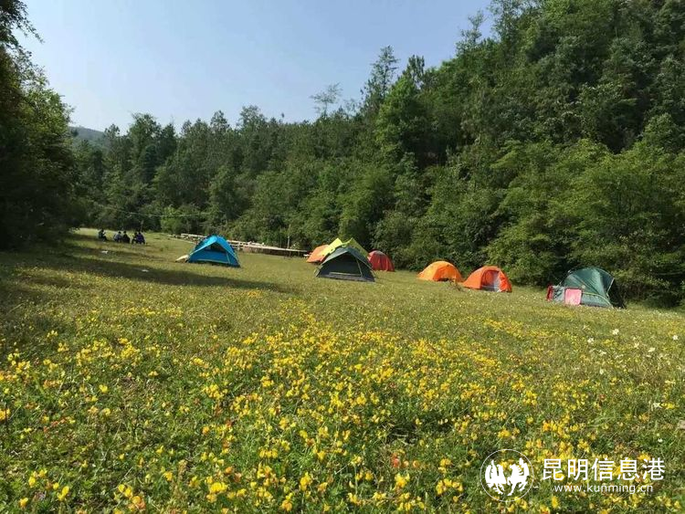 看煙花賞日出泡溫泉祿勸送上跨年大禮包