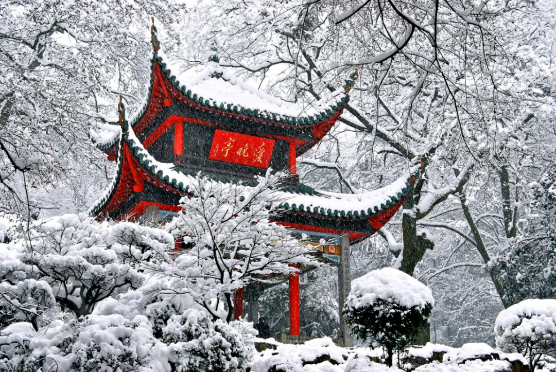 橘子洲头雪景图片