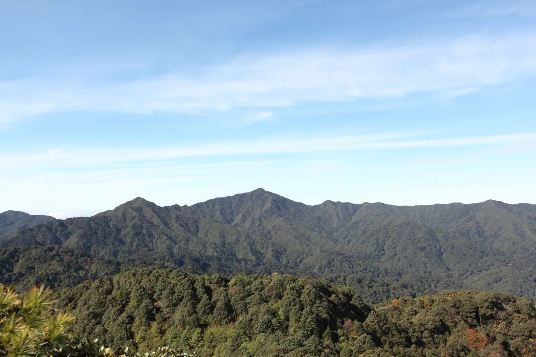 新平哀牢山风景区图片