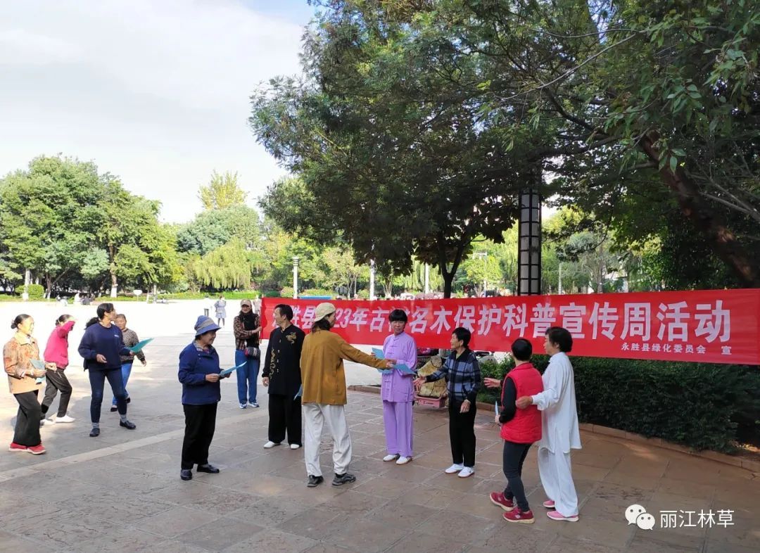 林业和草原局在城区凤凰广场,民主广场和白果村举办保护古树名木科普