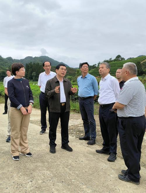 爭優爭先爭效福建省林業局和國家林草局駐福州專員辦領導赴武夷山國家