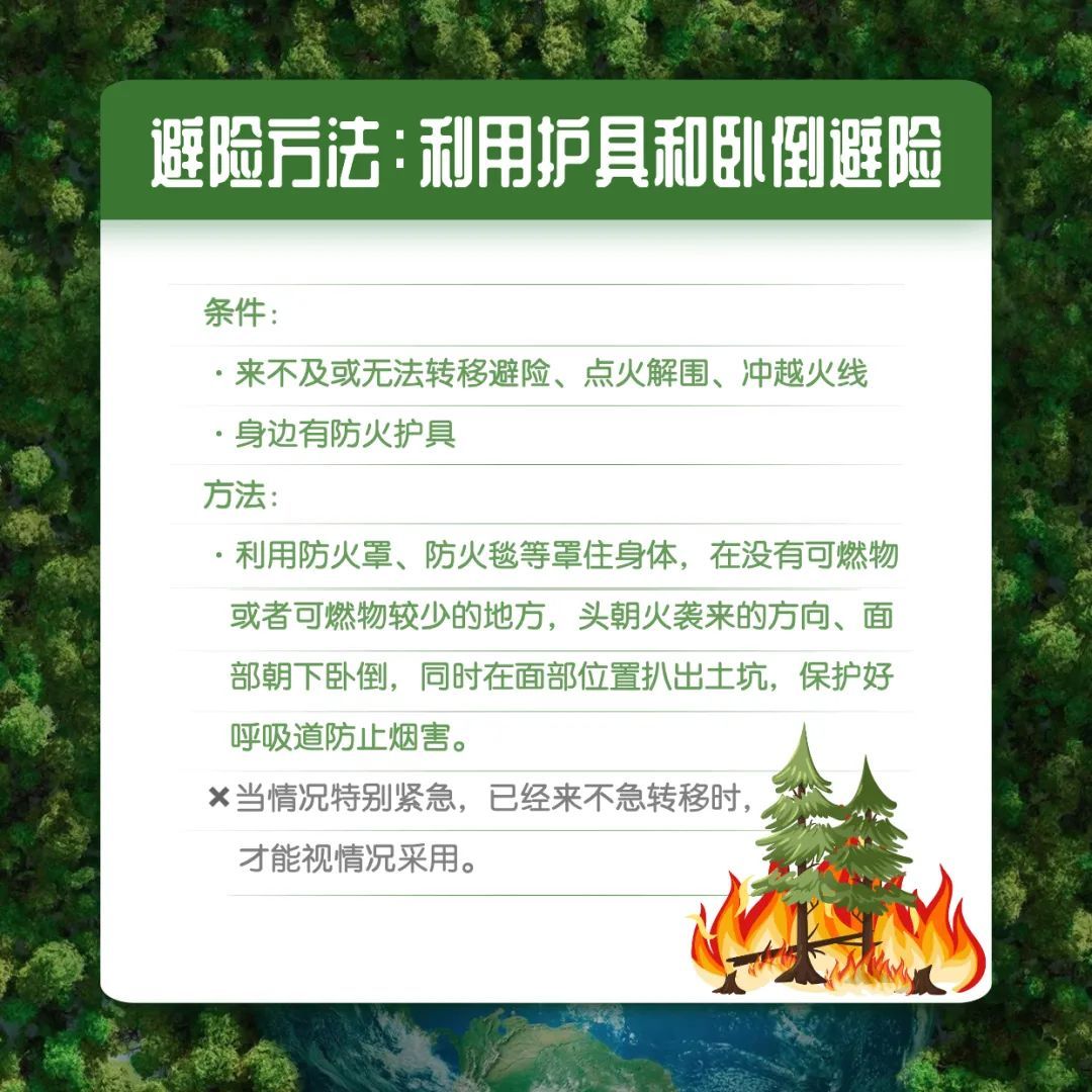 確保森林資源安全注意森林防火● 森林防火是指失去人為控制,在林地內