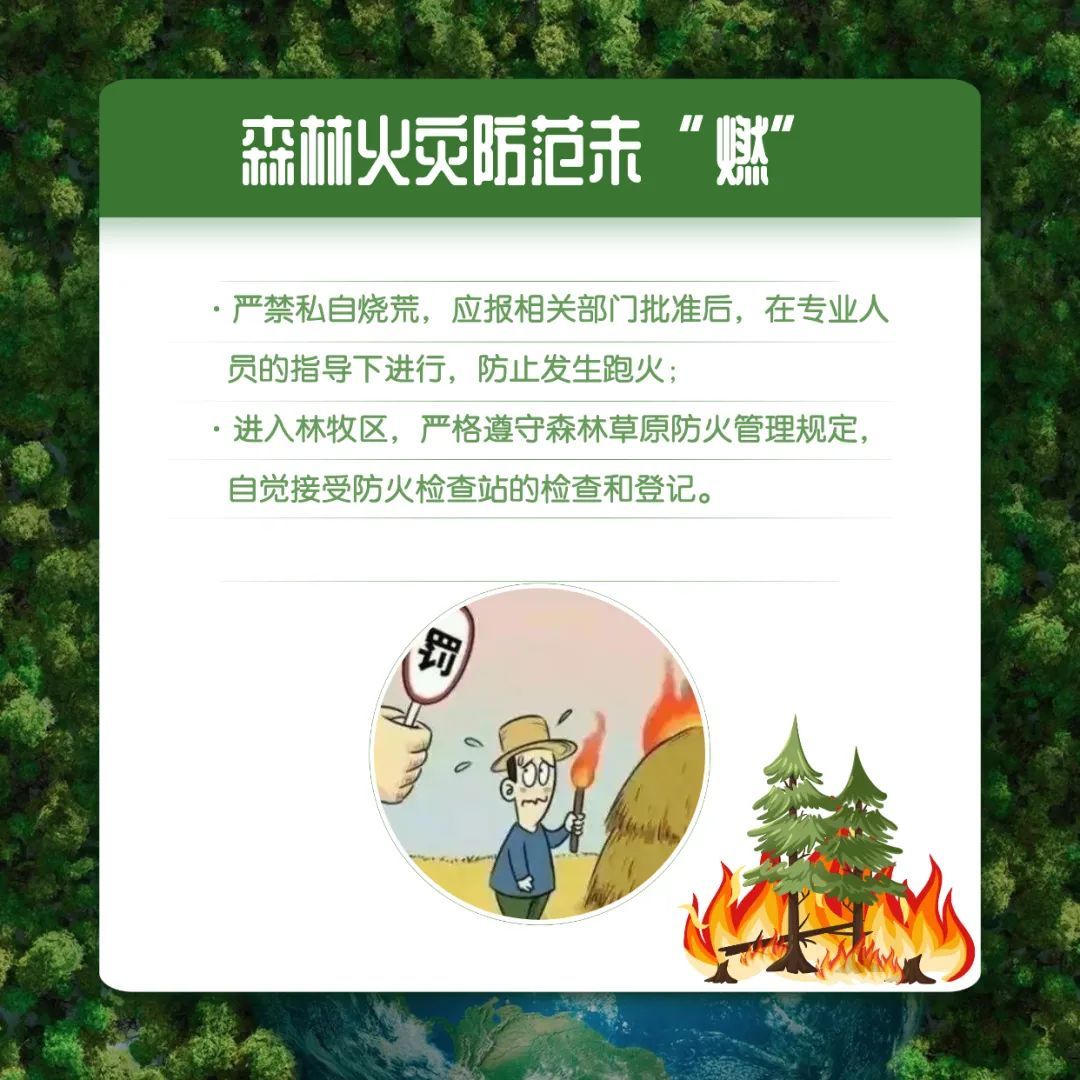 ▼這些森林防火知識要記牢!