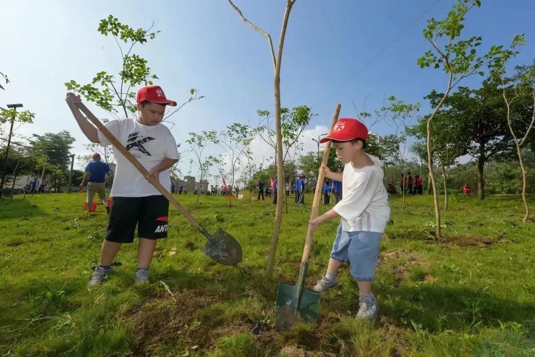 各地要抓緊調查摸底2024年綠化苗木供需情況,要對需要多少苗,轄區內能