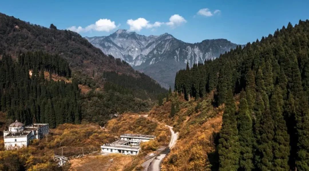 雲賞大熊貓家園偶遇山野精靈