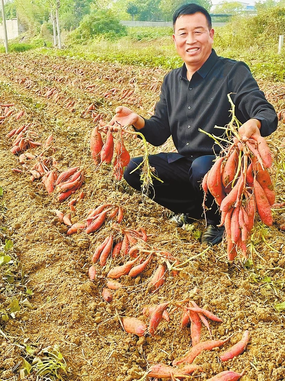 河南日報勇立潮頭敢為先改革開放的河南實踐之南陽篇