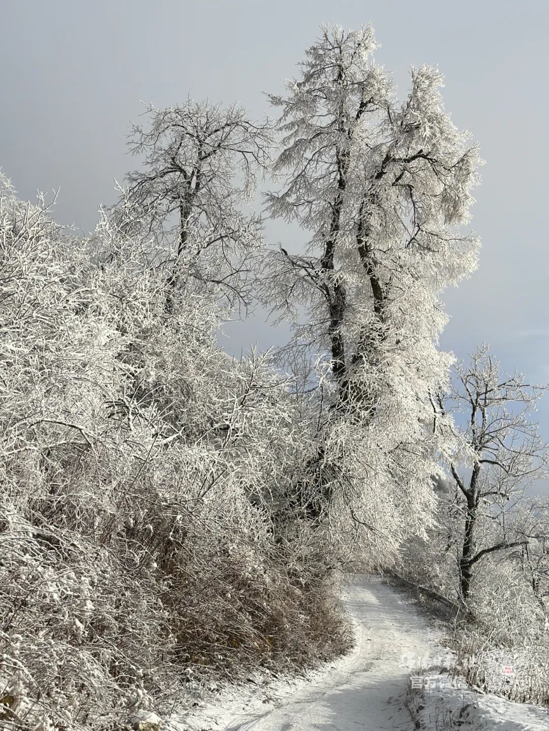 绵阳雪山景区图片