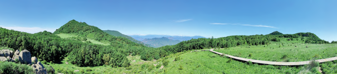 門頭溝區百花山的亞高山草甸北京市位於華北平原西北部,西部為太行